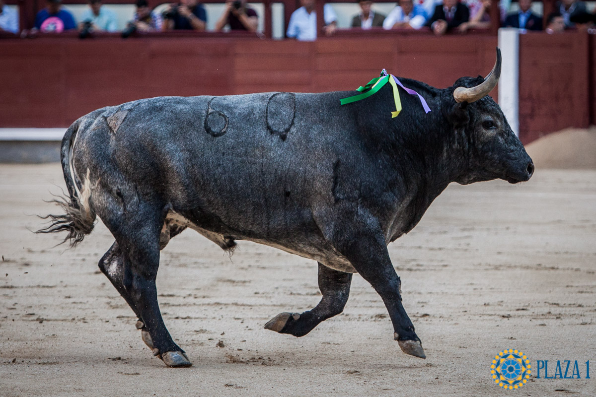 Nº 60, REGENTE, abre la tarde