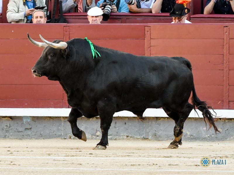 Nº 84, TREMENDO, primero de la tarde