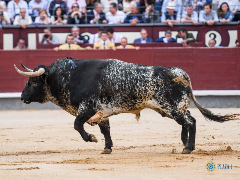 Nº 30, RATERO, primero de la tarde