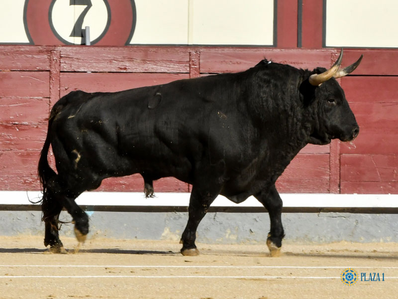 Nº 3, VALIENTE, segundo de la tarde