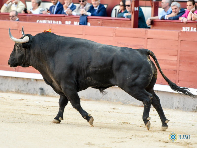 Nº 62, CARASERIA, primero de la tarde