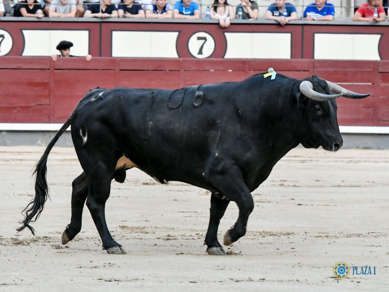 Nº 106, BOLERO, primero de la tarde