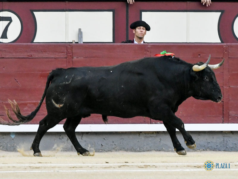 Nº26, 'CODICIOSO', PRIMERO DE LA NOCHE