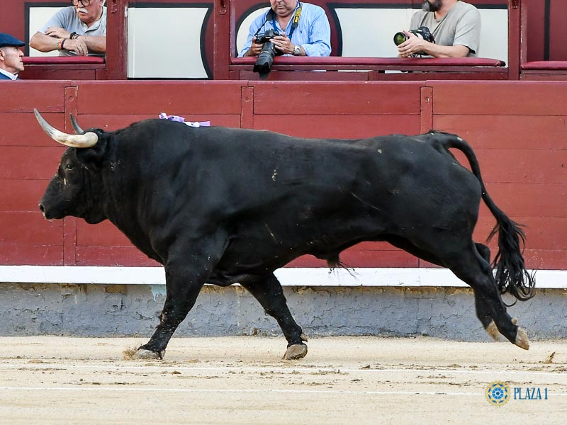 Nº 47, JACINTO, primero de la tarde