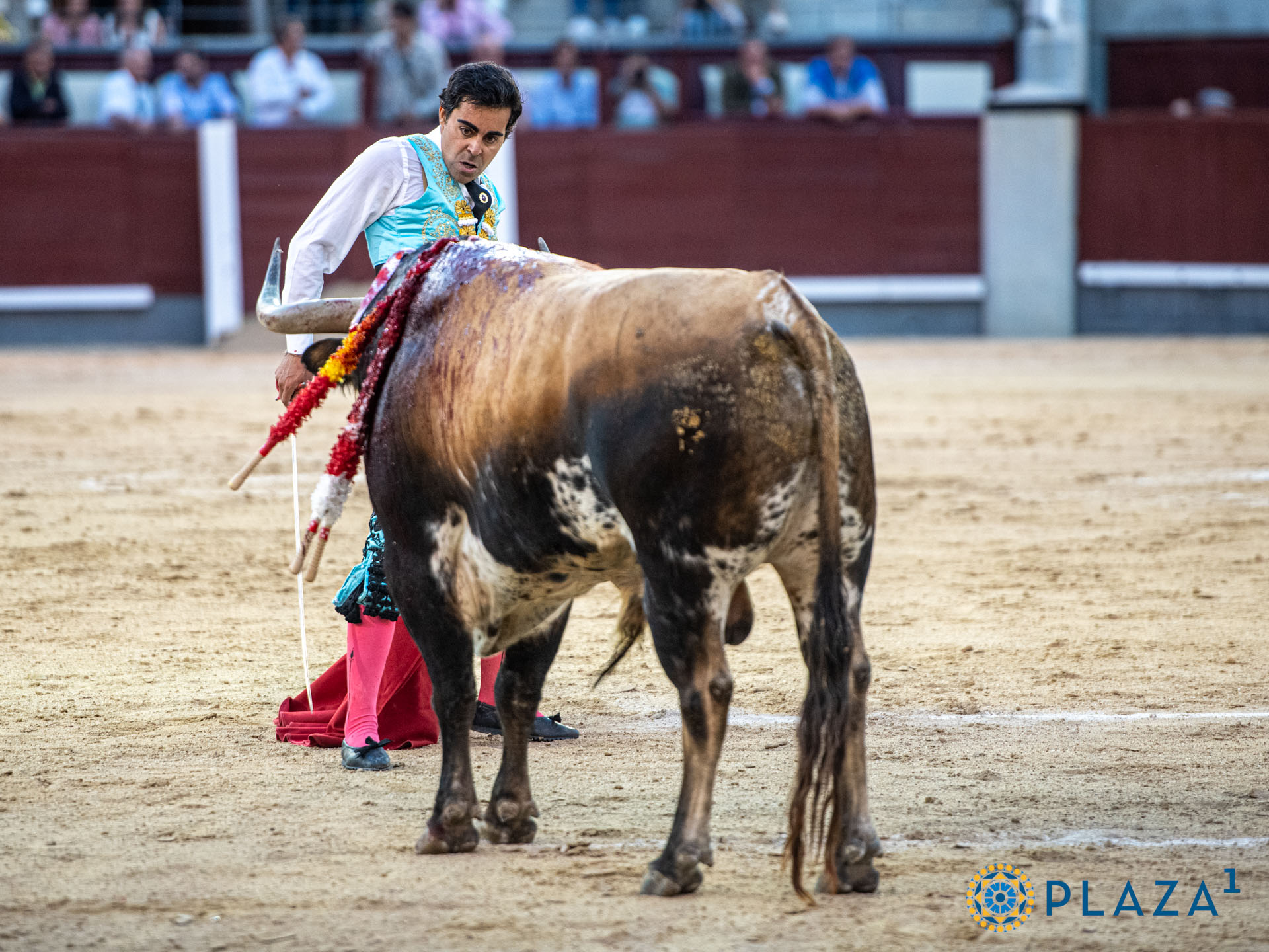 Miguel de Pablo se gana el respeto de Las Ventas en tarde de toreros valientes 