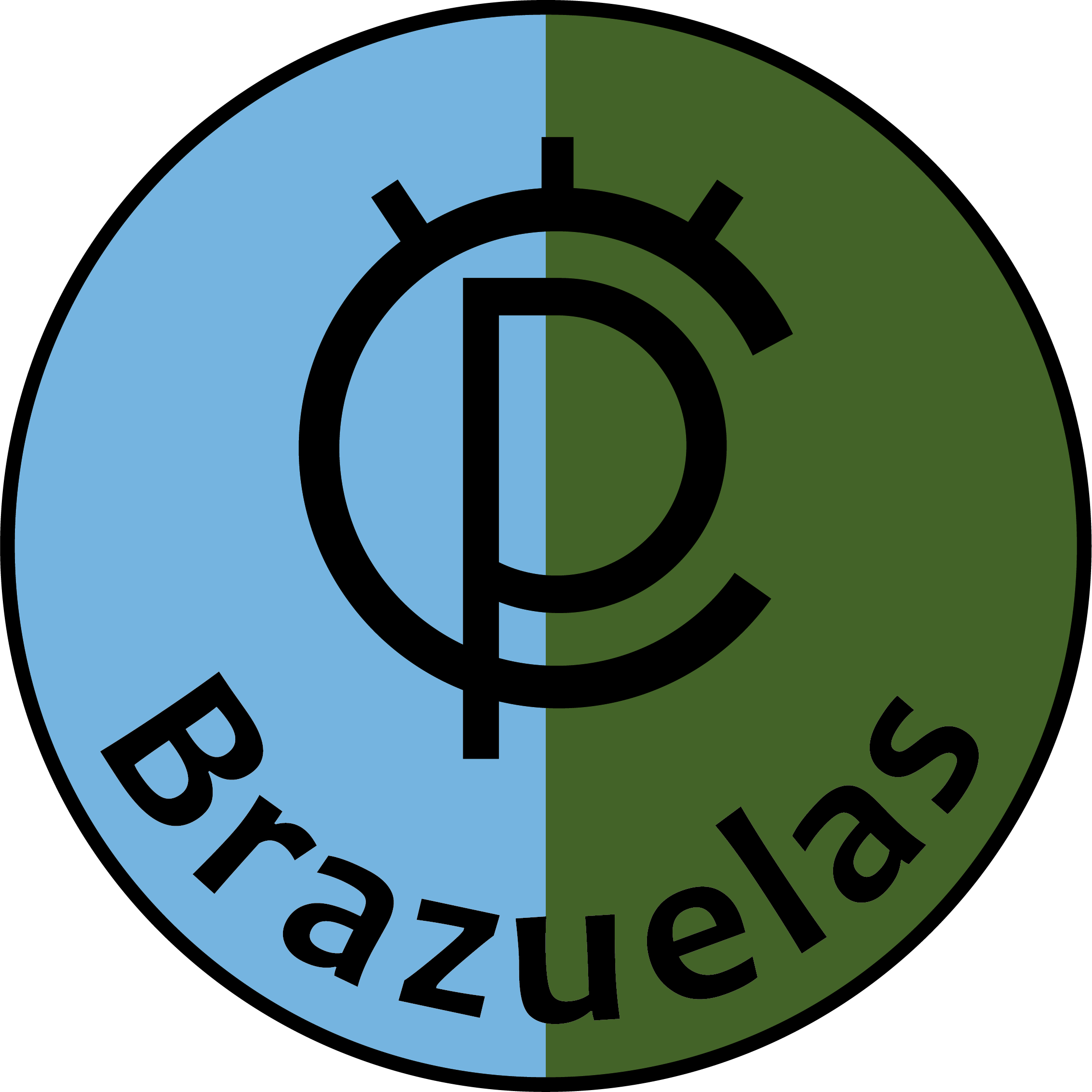 TOROS DE BRAZUELAS