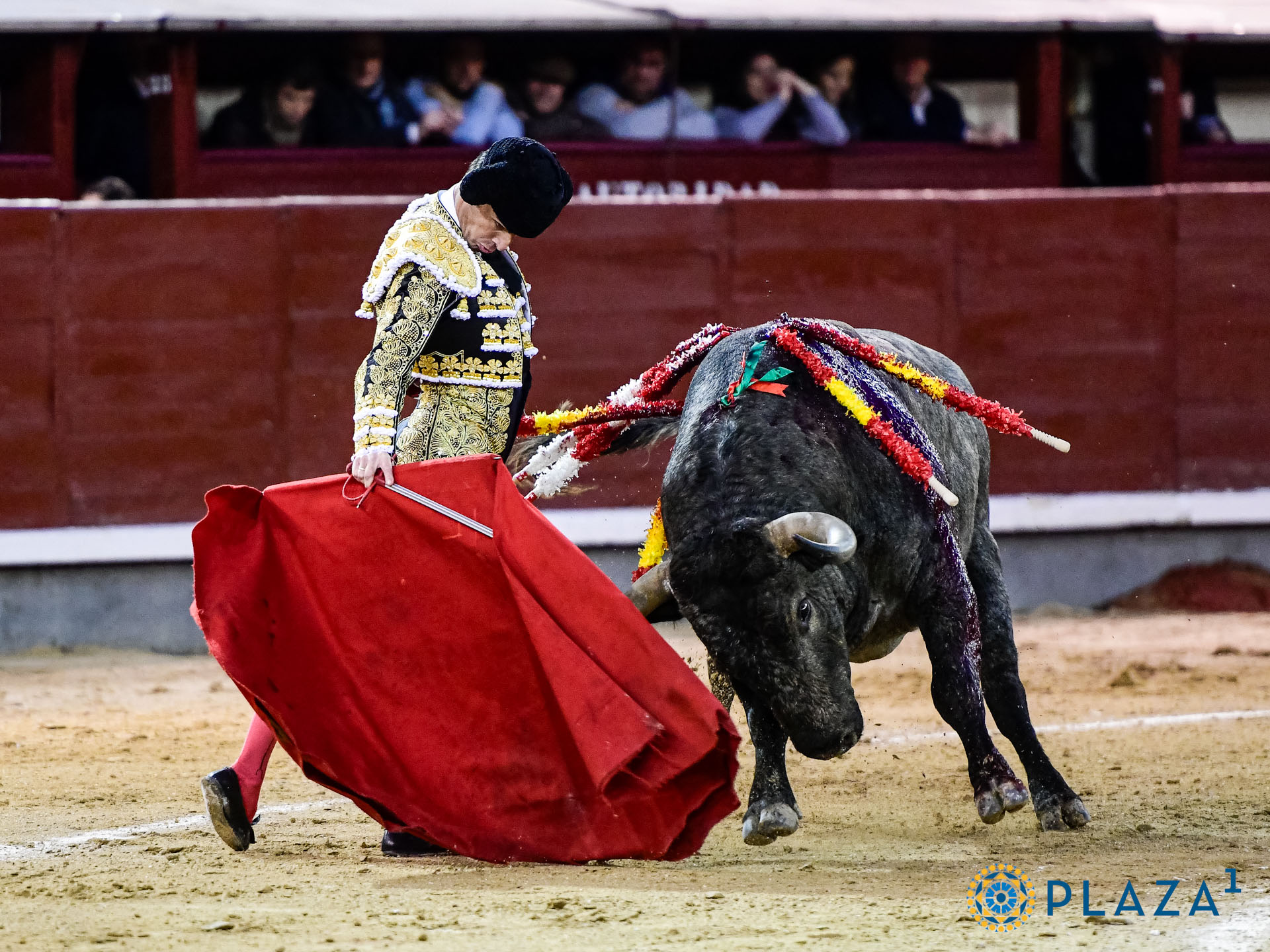 Damián Castaño se deja con el acero una faena de Puerta Grande y resulta corneado