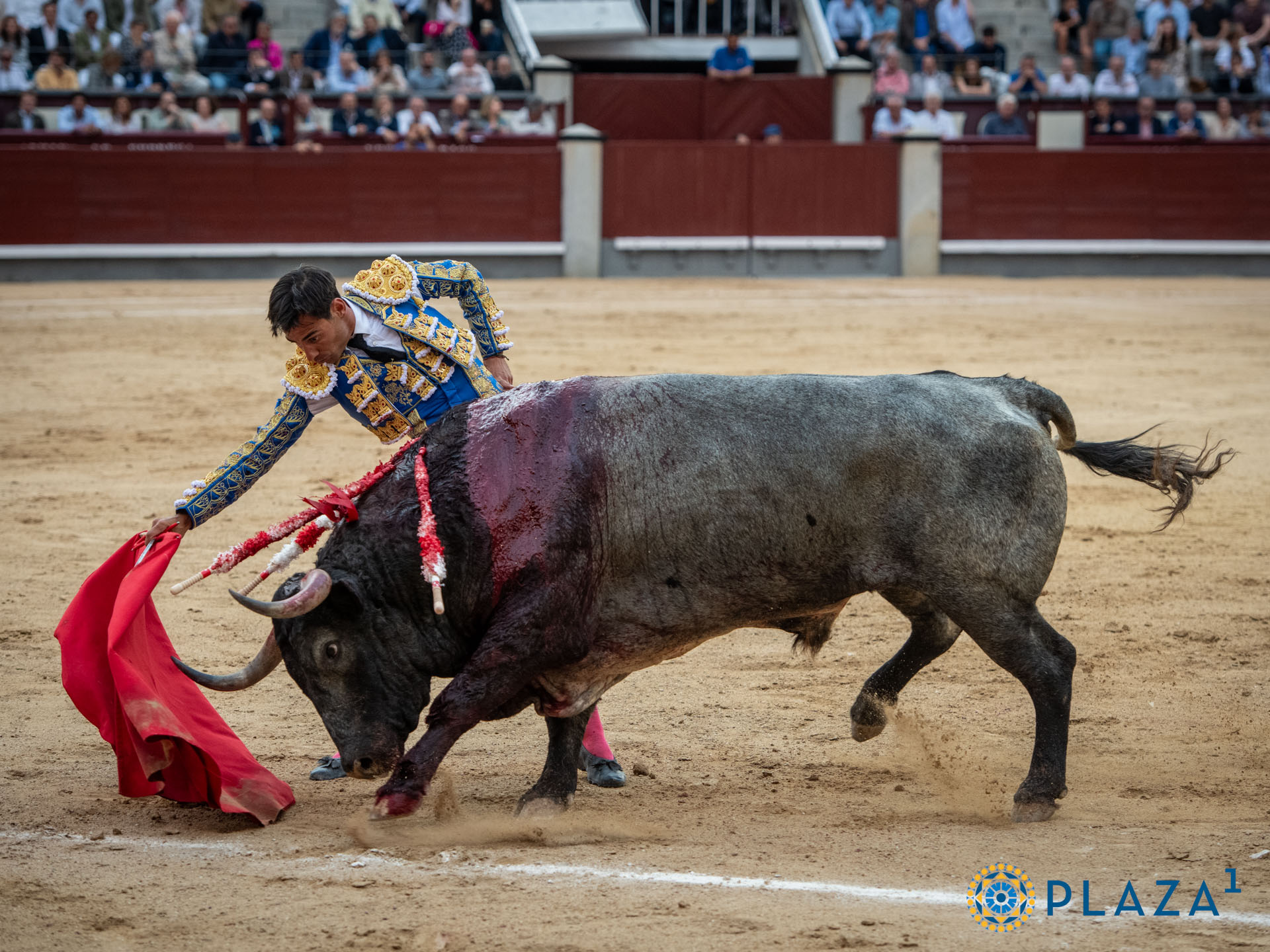 LAS VENTAS:gallarda apuesta de Gómez del Pilar con un emotivo toro de Escolar 