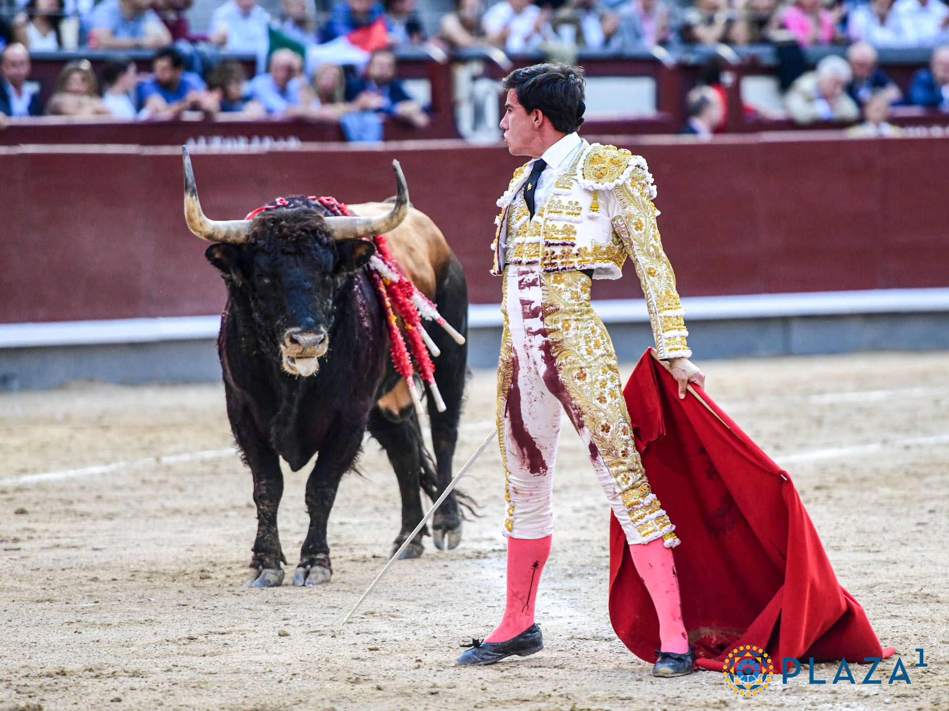 Peñaranda, única vuelta al ruedo en una tarde de entrega, firmeza y determinación de Escribano y Adame ante la frialdad en los tendidos de Madrid