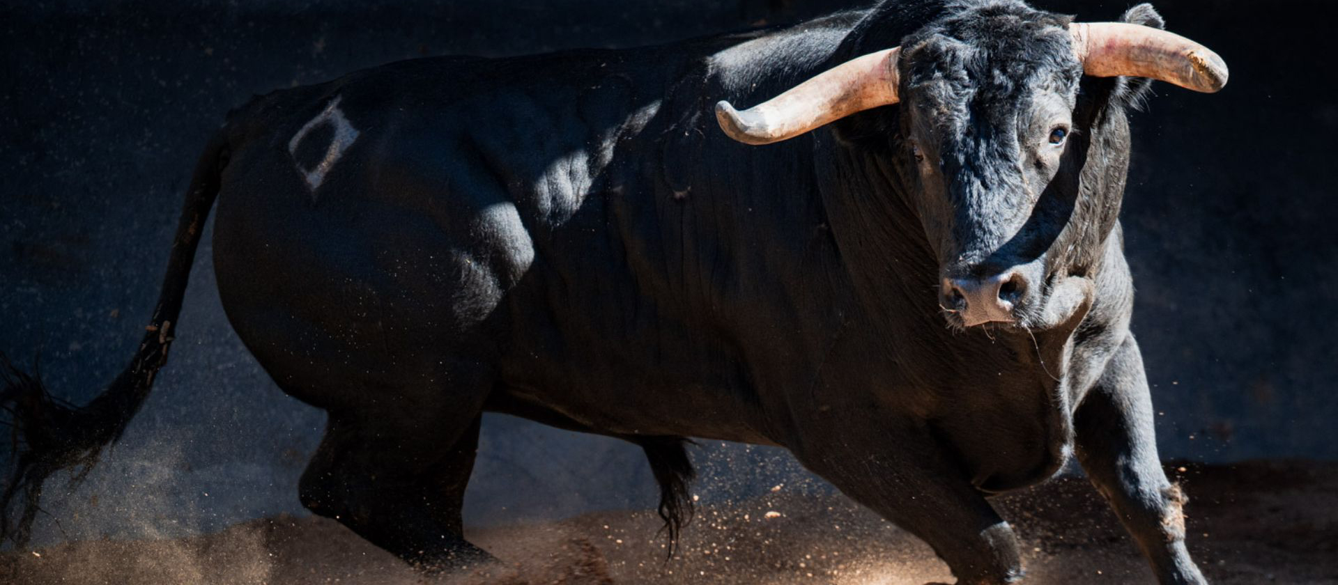 'ALBACETE', DE Mª GUIOMAR CORTÉS DE MOURA ABRE LA ÚLTIMA DE REJONES