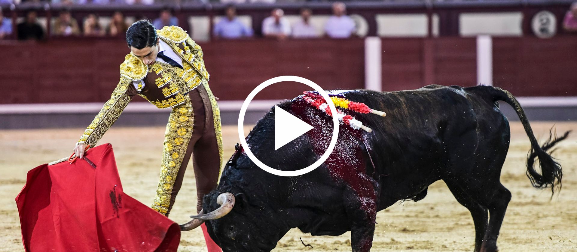 En vídeo, el resumen de la primera novillada nocturna del certamen 'Cénate Las Ventas'