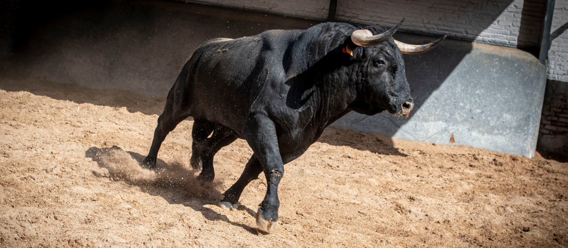 CUATRO DE EL CAPEA Y DOS DE CARMEN LORENZO PARA LA FINAL DE LA COPA CHENEL