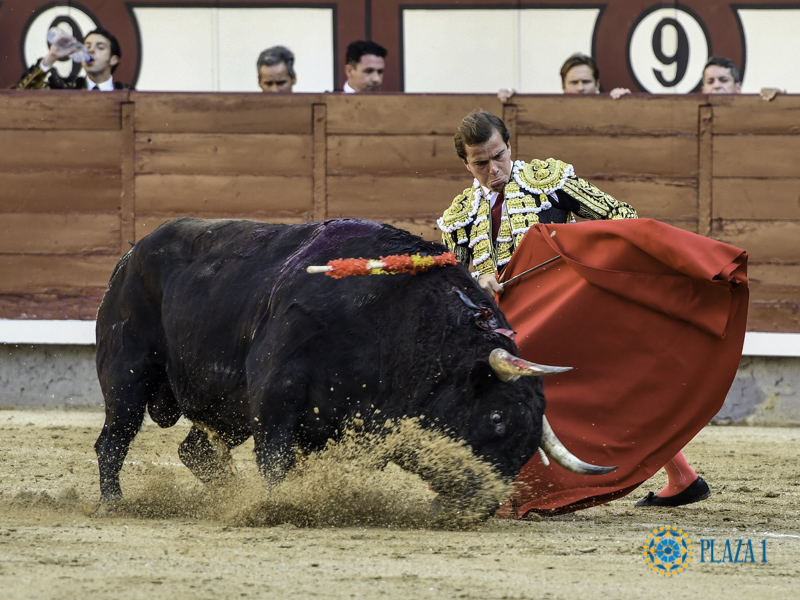 Javier Cortés, ante su regreso a Las Ventas en la festividad de La Paloma