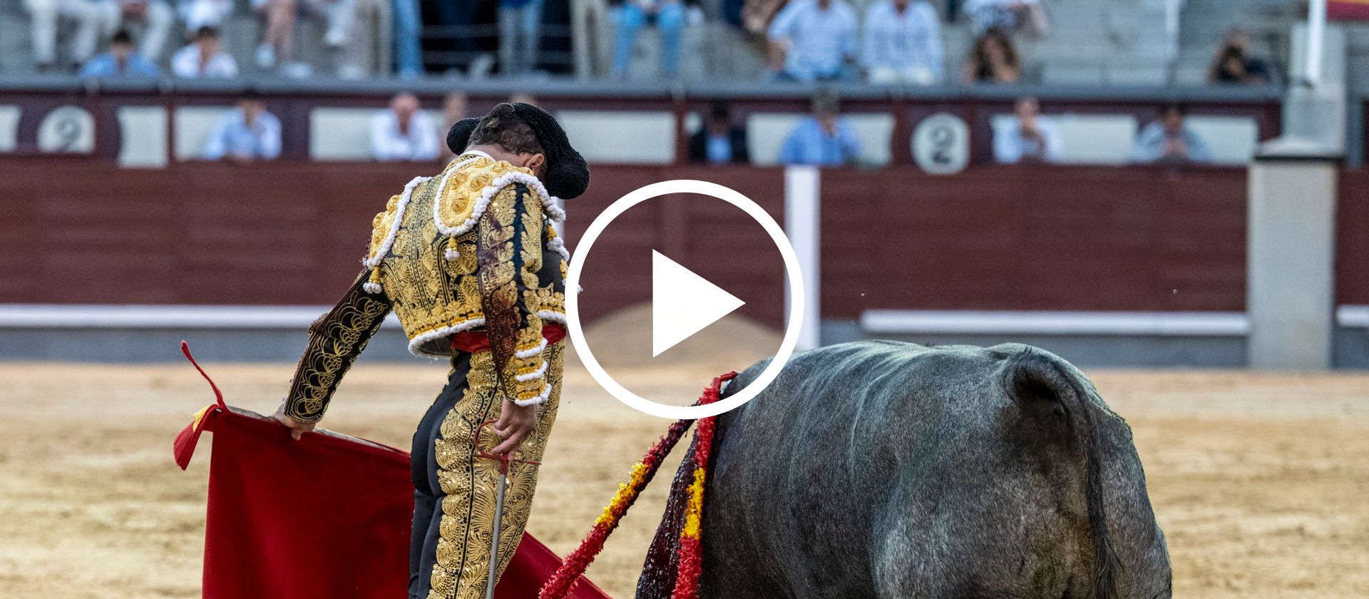 En vídeo, el resumen del segundo desafío ganadero