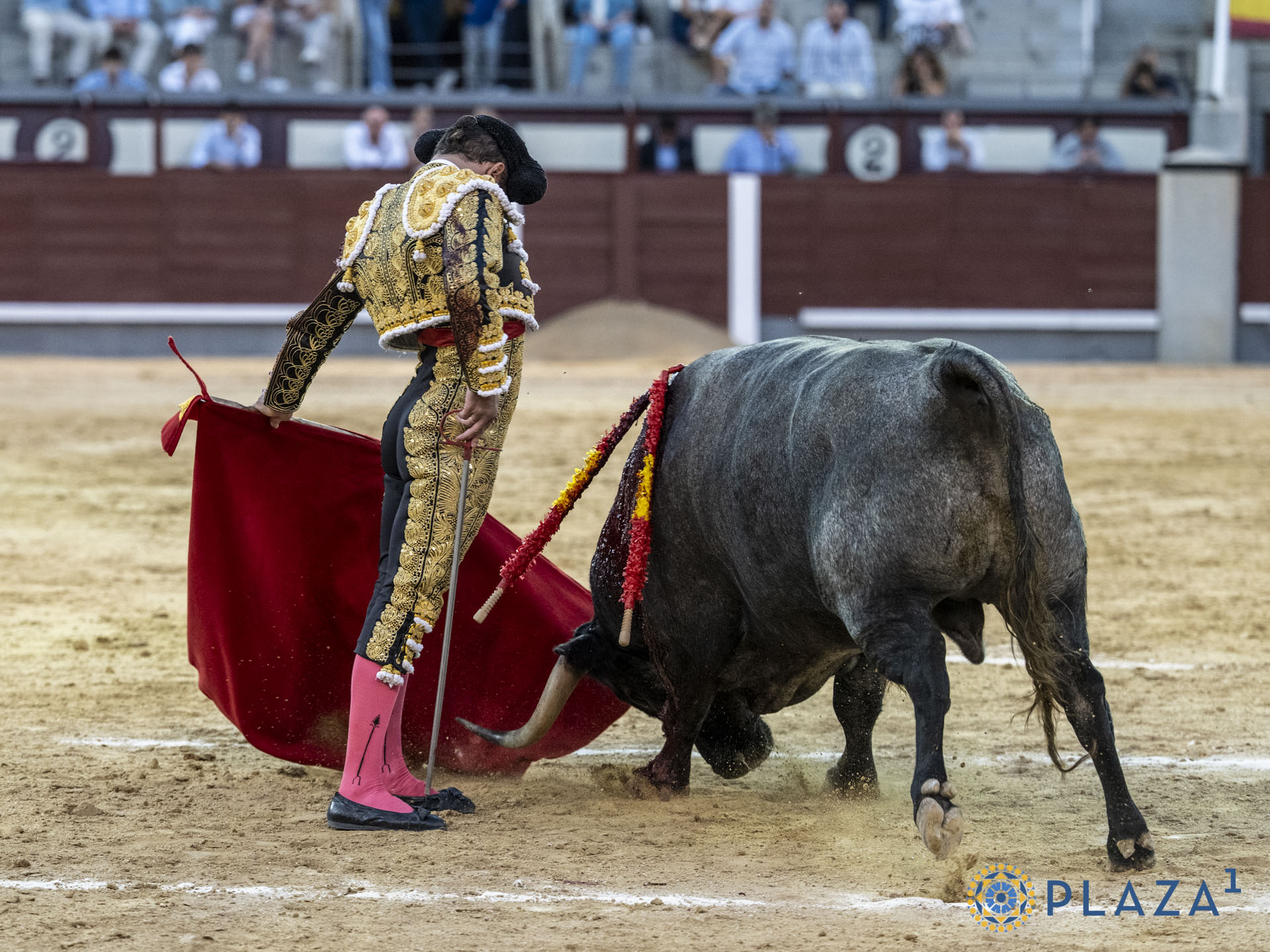 En vídeo, el resumen del segundo desafio ganadero de septiembre