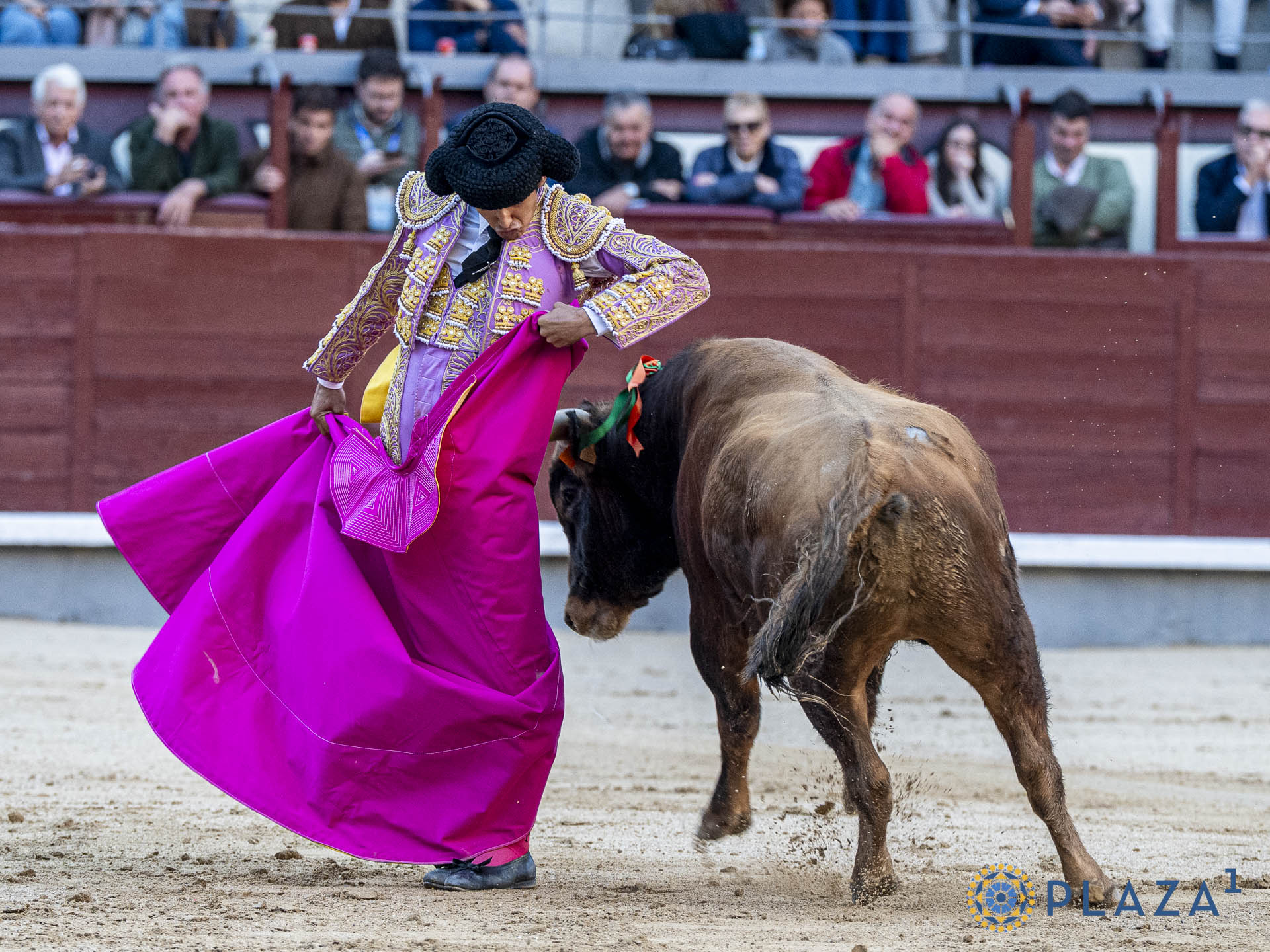 En vídeo, el resumen de la gran final de la XIV edición del 'Camino hacia Las Ventas'