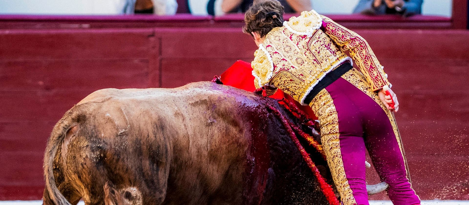 Una grave cornada en el tercero de la tarde trunca la encerrona de Álvaro Serrano en Madrid