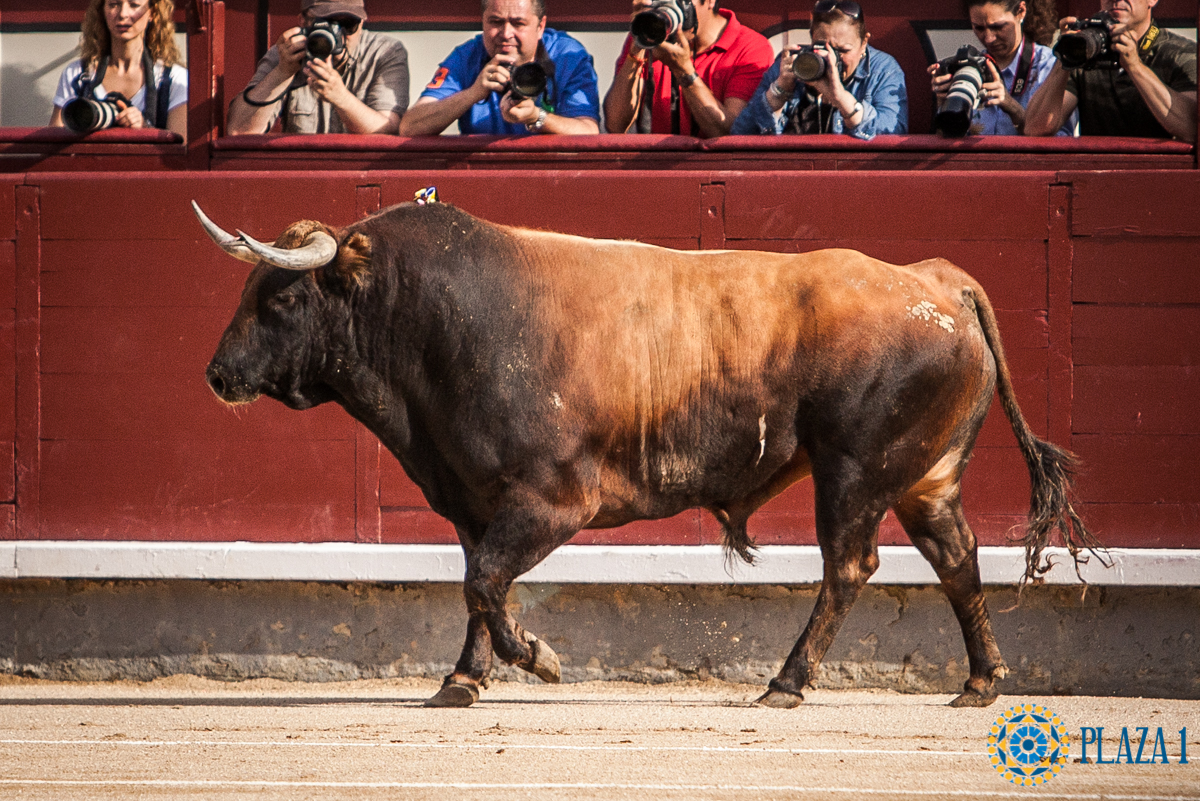 Nº 18, "JILGUERA", abre la tarde