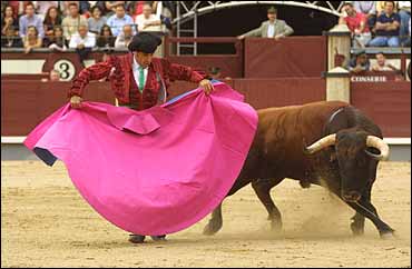 Un quite por navarras de Esplá.