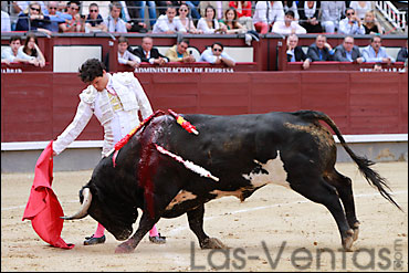 Derechazo de Miguel Abellán