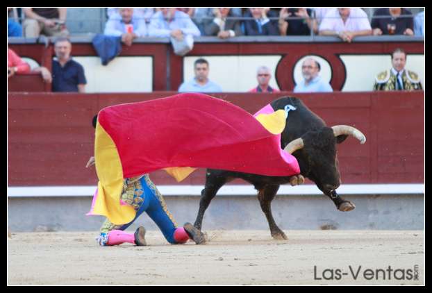 Gómez del Pilar recibió así a los dos de su lote