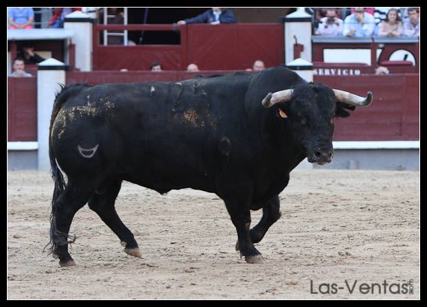 5º.- Nº 124, Soberano, negro, 620, 9/08