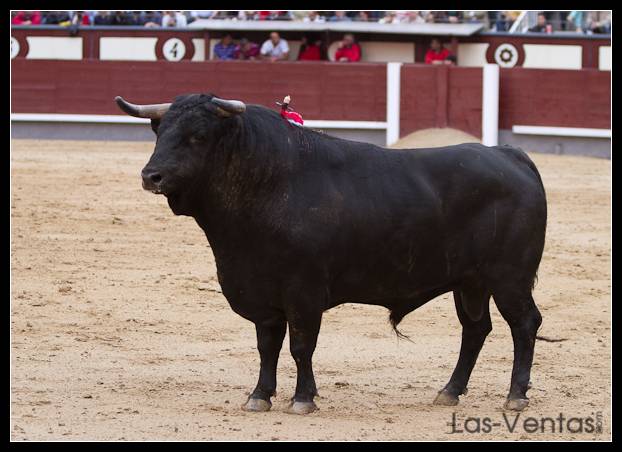 2º.- Nº 93, Tormentoso, negro, 596, 10/08