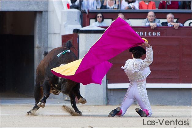 Miguel Abellán recibió así al toro de su vuelta a Madrid